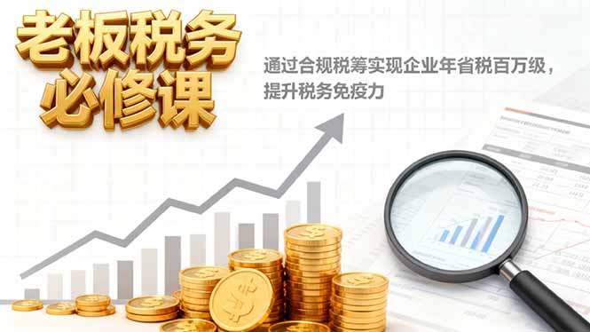 老板税务必修课,通过合规税筹实现企业年省税百万级,提升税务免疫力-云极创投