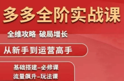 大炮·拼多多全阶实战课程(更新10月)-云极创投